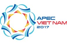APEC disaster management officials to meet in Nghe An 