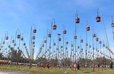 Thailand: Zebra Dove singing contest stimulates local economy