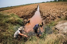 Conference to talk Mekong Delta sustainable development model 