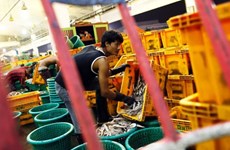 Thailand to discuss more occupations for foreign workers