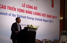 Denmark ready to help VN in sustainable energy development