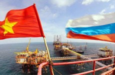 Workshop promotes Vietnam - Russia trade ties