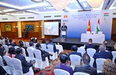 Vietnam, Hungarian businesses seek cooperation opportunities 