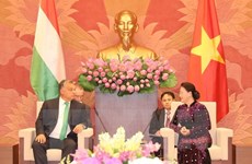 Hungary willing to share e-government building experience with VN 