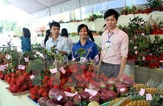 Vegetable, fruit exports hoped to hit record high 