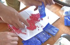 Up to 24,000 meth pills seized in Dien Bien