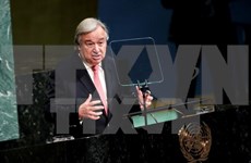 UN chief urges Myanmar to end military operations in Rakhine