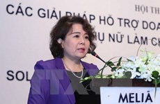 Vietnam suggests foundation of APEC women entrepreneurs’ network