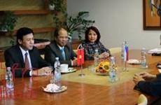 Ambassador helps bridge Vietnamese, Czech localities