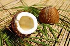 Indonesia earns nearly 900 million USD from coconut exports