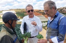 Dutch organisation helps Vietnam with sustainable development 