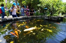 HCM City advised to fully tap agritourism potentials