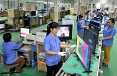 Vietnam-EAEU free trade agreement reaps positive outcomes