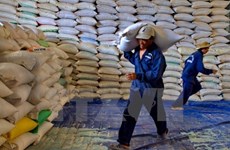 Cambodia exports over 400,000 tonnes of rice in nine months