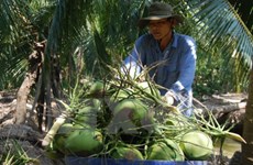 Ben Tre targets sustainable agricultural development  
