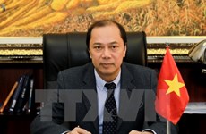 Vietnam attends ASEAN Joint Consultative Meeting