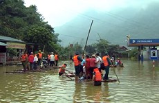 Flood-caused damage amounts to 35 million USD in Hoa Binh
