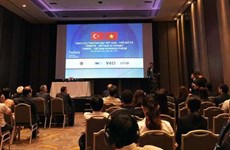 Vietnamese, Turkish enterprises seek to boost connectivity