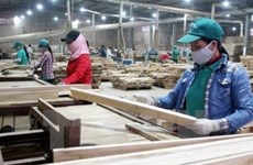 Sweden sees VN as potential market for its eco-friendly wood materials