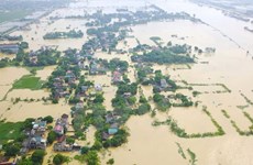 Vietnamese Embassy in Malaysia supports flood victims at home 