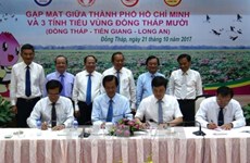 HCM City boosts tourism ties with Dong Thap Muoi sub-region