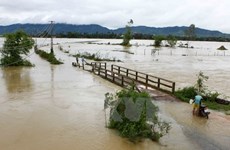 Flood-hit Ha Tinh, Son La provinces receive rice support