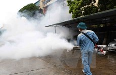 More than 95 percent of Hanoi’s dengue hotbeds under control