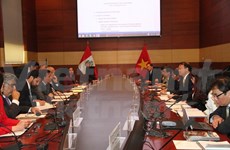 Peru-Vietnam Inter-Governmental Committee convenes first session 