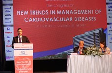 Doctors discuss therapies for cardiovascular diseases 