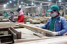 Vietnam earns 6.15 billion USD from wood exports