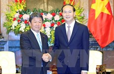 Japan a long-term partner of Vietnam: President