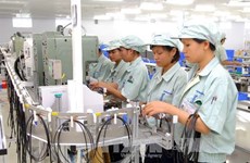 Ha Nam lures investment in industrial parks