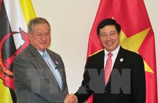 Deputy PM Pham Binh Minh meets Brunei Minister