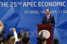 APEC 2017: Leaders adopt Da Nang Declaration