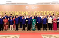 APEC 2017:  Malaysian media appraises Vietnam’s organisation