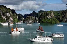 Quang Ninh approves Ha Long – Co To seaplane route