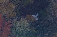 Vietnamese pilot killed in UK mid-air collision