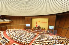 NA deputies debate special policies for HCM City’s growth