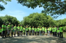 ASEAN mangrove planting day runs in Indonesia