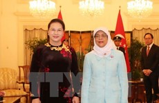 National Assembly Chairwoman meets Singaporean President 
