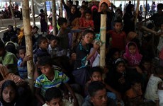 Myanmar, Bangladesh to cooperate with UNHCR on Rohingya return