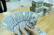 Reference exchange rate goes up 1 VND at week’s beginning