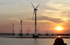 Foreign investors interested in Vietnam’s wind power projects
