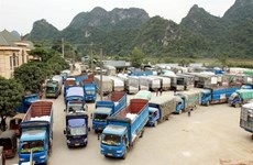 Conference boosts VN-China investment, trade ties