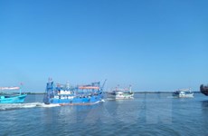Fisheries – important economic sector of Vietnam 