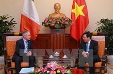 Education deal with Ireland has good effect on Vietnam’s economy