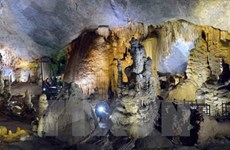 Additional 58 caves uncovered in Quang Binh