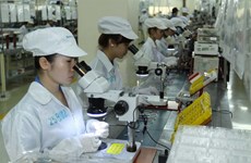 Japanese firms talk VN business obstacles
