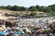 Untreated waste pollutes environment in Vinh Phuc
