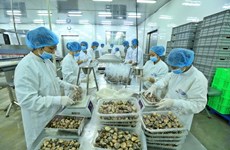 Kien Giang exports surpass yearly target